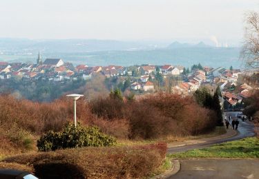 Tour Zu Fuß Überherrn - Berus Tafeltour - Photo