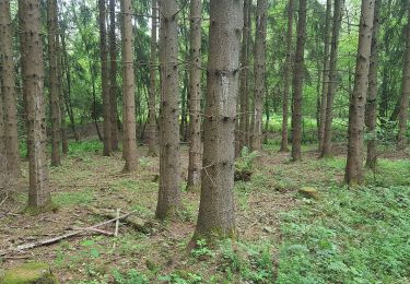 Percorso A piedi Wilnsdorf - Auf Bergmannspfaden - Photo