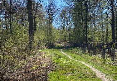 Tour Wandern Gerpinnes - Fromiée Oret par la GR129 - Photo