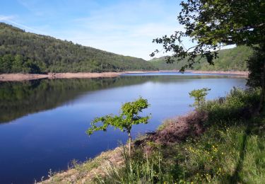 Tour Wandern Thérondels - Therondels  - Photo