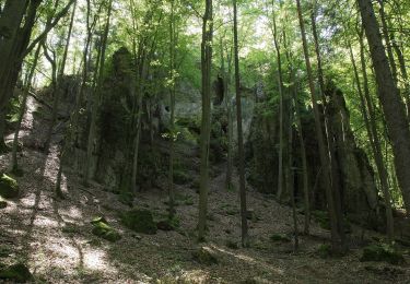 Tour Zu Fuß Illschwang - Illschwang Wanderweg 5 - Photo