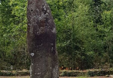Trail Walking Carnac - carnac 14 06 19 - Photo