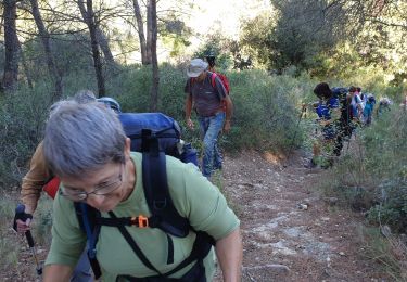 Percorso Marcia Allauch - pichauris - Photo