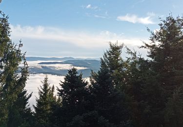 Tour Wandern Urbeis - La Climontaine - Steige - Climont - Photo