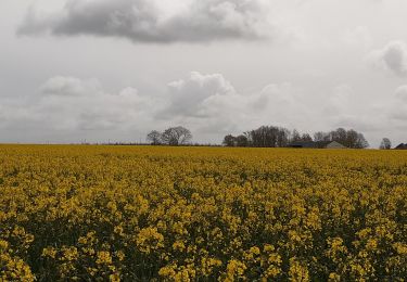 Tocht Stappen Mesnil-en-Ouche - Epinay - Photo