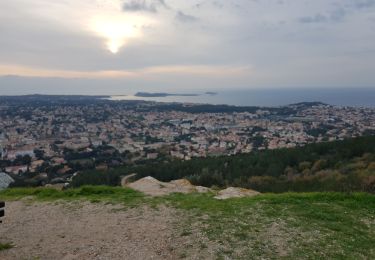 Trail Walking Six-Fours-les-Plages - 2020 01 03 - Photo