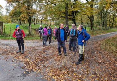 Tocht Stappen Châteldon - CLD - GM Le 16/11/2021 - Photo