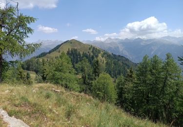 Tocht Stappen Utelle - balade fort de la brasques - Photo