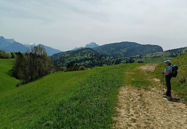 Trail Walking Entremont-le-Vieux - col du mollard et des fontanettes - Photo