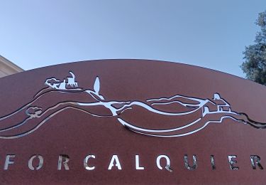 Trail Walking Forcalquier - forcalquier,les mourres - Photo