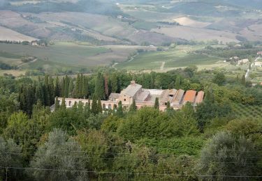 Randonnée A pied Pienza - Sentiero della Via Barlettaia - Photo