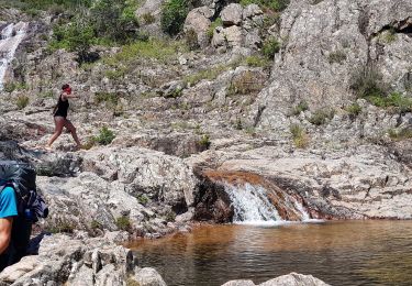 Excursión Senderismo Conca - Corse - GR20 Paliri à Conca - Photo