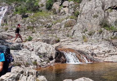 Tocht Stappen Conca - Corse - GR20 Paliri à Conca - Photo