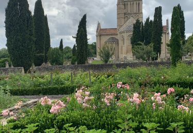 Excursión Senderismo Melle - VOIE DE TOURS Melle - Aulnay les Saintonges  - Photo