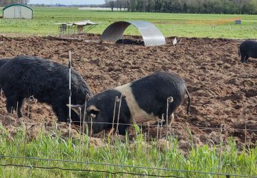 Tocht Stappen Saint-Claude-de-Diray - saint claude de diray gs grand - Photo