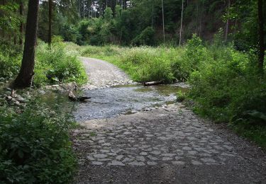 Randonnée A pied Štěchovice - [Z] Zahořanský důl - Štěchovice - Photo