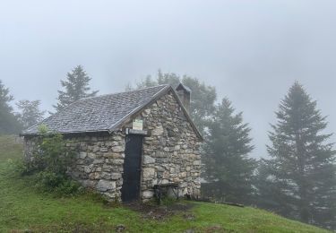 Tour Wandern Juzet-d'Izaut - Pic du Cagire par Juzet-d'Izaut - Photo