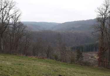 Tour Wandern La Roche-en-Ardenne - Warempage 101220 - Photo