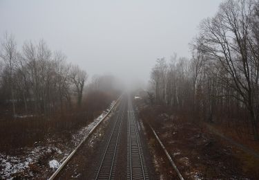 Tour Zu Fuß Unbekannt - Dresdner Heide, Schere - Photo