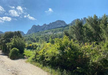 Trail Walking Gigondas - Dentelle  - Photo