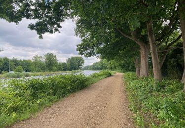 Trail Walking Herentals - De Herentals à Westerlo sur le GR5 - Photo