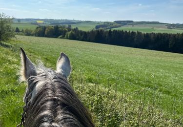 Tocht Paardrijden Bastenaken - Luxembourg  - Photo