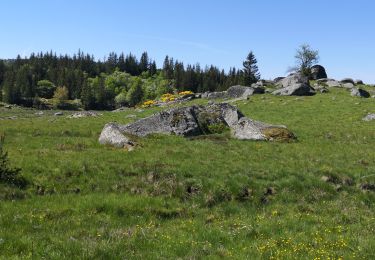 Tour Wandern Saint-Laurent-de-Muret - la Blatte Aubrac  - Photo