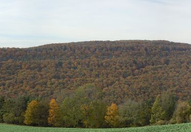 Excursión A pie Flavignerot - Du Naizou au Mont Afrique - Photo