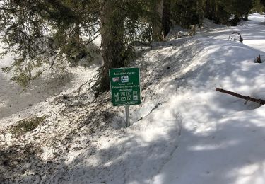 Randonnée A pied Gemeinde Unken - Wanderweg 15 - Reit im Winkl - Photo