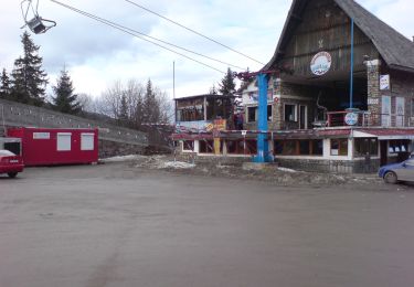 Excursión A pie Sibiu - Păltiniș - Poiana Găujoara - Poiana Muncel - Stație Telescaun - Păltiniș - Photo