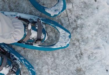 Randonnée Raquettes à neige Réallon - les chalets du Vaucluse - Photo