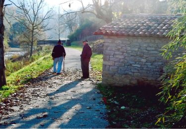 Percorso A piedi Santa Sofia - IT-277 - Photo