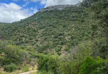 Tocht Stappen Minerve - Minerve - Photo