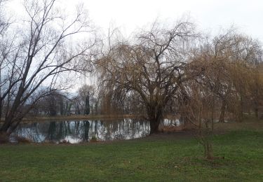 Tocht Noords wandelen Sassenage - Circuit en direction du barrage de Saint-Egrève,  retour par l'Ovalie - Photo