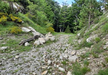 Tocht Stappen Saint-Julien-en-Beauchêne - la pare - Photo