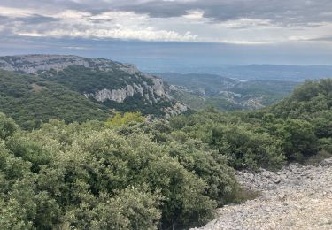 Tour Pfad Cheval-Blanc - Bergerie-Sapine-Bedoin-vallon des Buisses(20K 630D+) - Photo