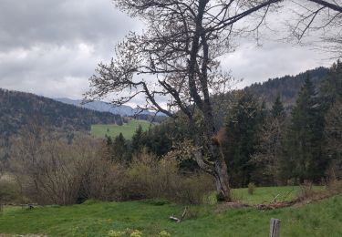 Tour Wandern Talloires-Montmin - Boucle de Montmin - Photo