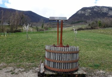 Tour Wandern Saint-Jean-de-la-Porte - St-Jean-La-Porte-2021-03-12 - Photo