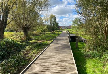 Tour Wandern Berchem-Sainte-Agathe - Sint-Agatha-Berchem - Berchem Zellik 9 km - Photo