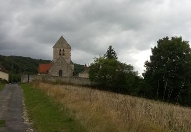 Trail Walking Reuilly-Sauvigny - Reuilly-Passy s/Marne - Photo