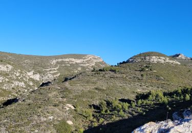 Tocht Stappen Marseille - Le Taoume - Photo