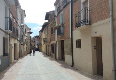 Randonnée Marche Estella-Lizarra - Mis Arcos - Photo