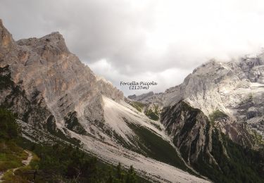 Tocht Te voet San Vito di Cadore - IT-227 - Photo