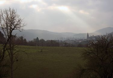 Tour Zu Fuß Hamoir - Les rives de l'Ourthe vers Comblain-la-Tour - Photo