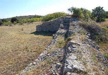 Tour Wandern Lavilledieu - 2024-02-01_17h55m37_Camp de Cesar 17km - Photo