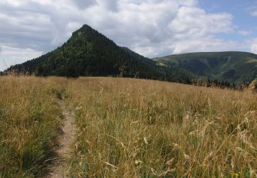 Excursión A pie okres Ružomberok - Náučný chodník Čierny kameň - Photo