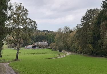 Percorso Marcia Ferrières - burnontige - Photo