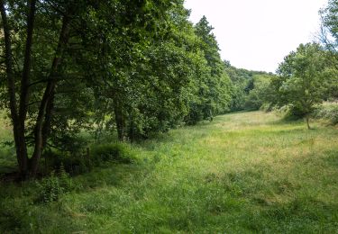 Tour Zu Fuß Eltville am Rhein - Rheinsteig-Zuweg Niederwalluf (West) - Photo