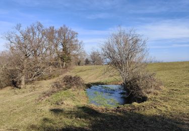 Excursión Senderismo Périgneux - Boucle Marieux-Nus- La Roche- La Gare  - Photo