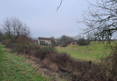 Tour Wandern Saponay - Saponay du 11/01/2025 - Photo